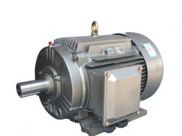 YE3系列   高效率節(jié)能電機