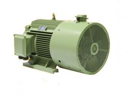 YVFE3系列   高效變頻調(diào)速電機