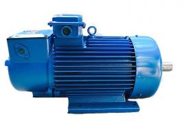 YZE/YZRE系列冶金起重電磁制動三相異步電機(jī)